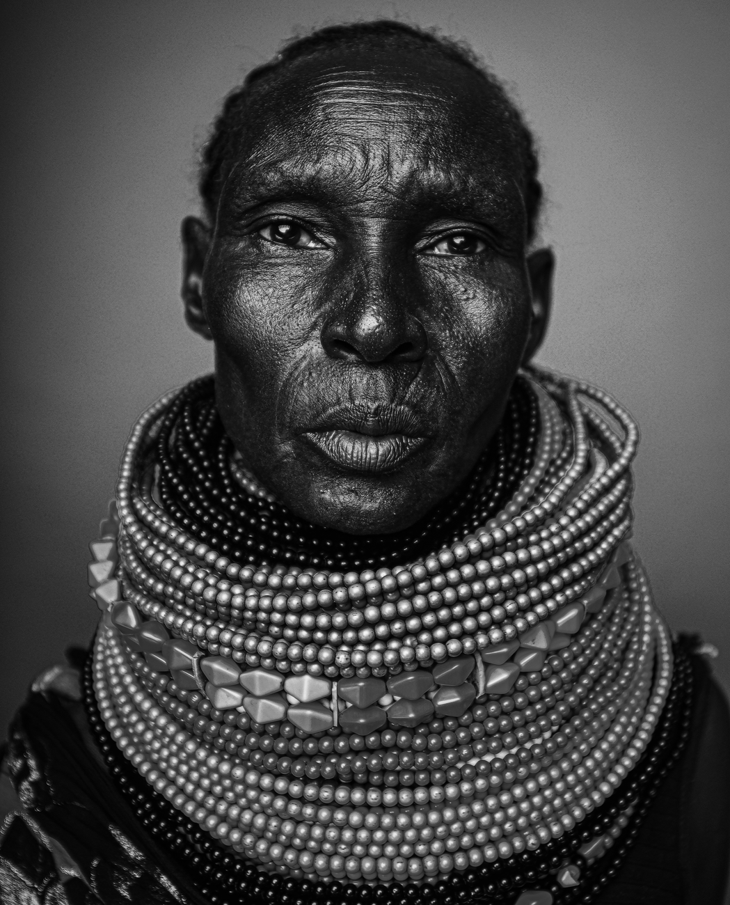 South African Elder , African Elder
